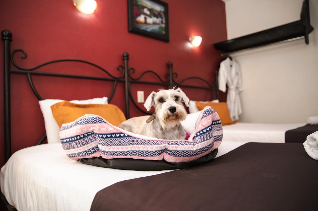 Plaza Poblana Hotel Puebla Eksteriør billede